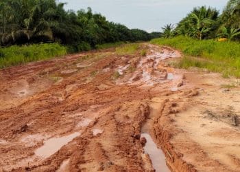 Warga Pekebun Sawit Mengeluh Dampak Penimbunan Jl. Lingkar Parit Kitang Bangsal Aceh – Lubuk Gaung