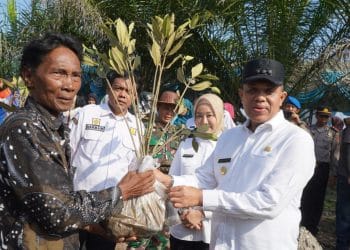 Peringati Hari Lingkungan Hidup, Pj Bupati Langkat Faisal Hasrimy Tanam 11.000 Pohon Mangrove di Kecamatan Brandan Barat