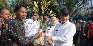 Peringati Hari Lingkungan Hidup, Pj Bupati Langkat Faisal Hasrimy Tanam 11.000 Pohon Mangrove di Kecamatan Brandan Barat