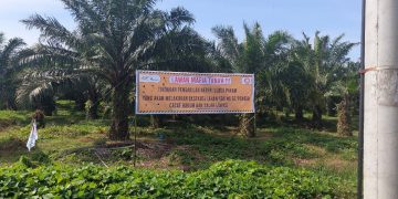 Belasan Triliun Uang Negara Raib di Tangan Mafia Tanah Akibat Hakim MA Menangkan Gugatan Lahan Kebun Penara PTPN 2 Diduga Pakai Surat/Bukti Palsu