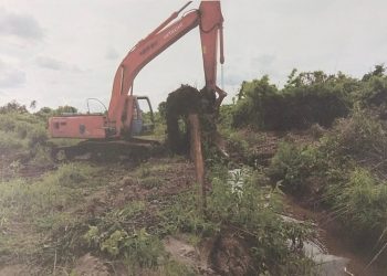 Kawasan Hutan 1.048 Ha Dibawah Penguasaan Kemen LHK Habis Terjual, Oknum Mantan Lurah dan Camat Diduga Ikut Menikmati