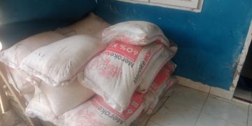 Terlibat Kasus Penggelapan Pupuk, Orang Dalam Kebun Bulu Cina Diciduk Polisi