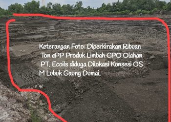 Ison Buka Suara Mendesak Dirjen Gakkum Kemen LHK Usut Tuntas Penimbun ePP PT.EJI Diduga Tanpa Izin