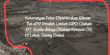 Ison Buka Suara Mendesak Dirjen Gakkum Kemen LHK Usut Tuntas Penimbun ePP PT.EJI Diduga Tanpa Izin