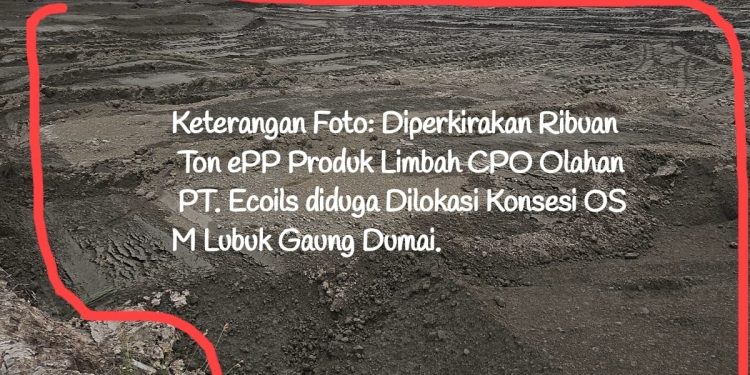 Ison Buka Suara Mendesak Dirjen Gakkum Kemen LHK Usut Tuntas Penimbun ePP PT.EJI Diduga Tanpa Izin