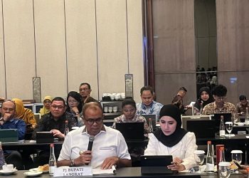 Pj. Bupati Langkat Paparkan RDTR Perkotaan Tanjung Pura: Wujudkan Kawasan Bersejarah yang Berwawasan Lingkungan