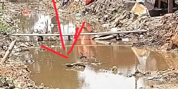 Proyek Drainase Jl. Dok Diduga di Area Konsesi Pertamina Benarkah…?