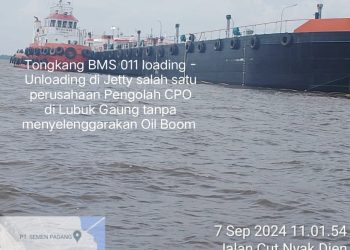 Lemah Penegakan Hukum LH Ketua P3KDR Buka Suara, Kritisi Kinerja KSOP dan Dinas LH