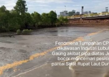 Penanganan Pencemaran Lingkungan Hidup Bertele-tele, Penyebabnya Dinas LH Belum Punya PPNS