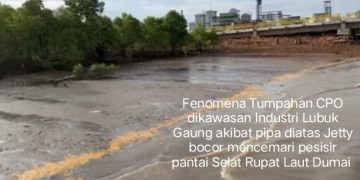 Penanganan Pencemaran Lingkungan Hidup Bertele-tele, Penyebabnya Dinas LH Belum Punya PPNS