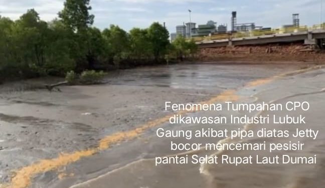 Penanganan Pencemaran Lingkungan Hidup Bertele-tele, Penyebabnya Dinas LH Belum Punya PPNS