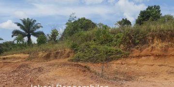 Pengoperasian Galian C Bukit Pelintung Diduga Tanpa Izin, Mulus Mendapat Lampu Hijau 