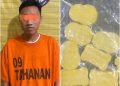 Lagi-lagi, Pengedar Inek di Binjai Ditangkap Polisi