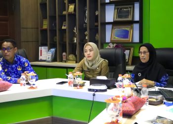 Evaluasi Implementasi Program Kota Cerdas (Smart City) Tahap II Kota Binjai Tahun 2024
