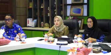 Evaluasi Implementasi Program Kota Cerdas (Smart City) Tahap II Kota Binjai Tahun 2024