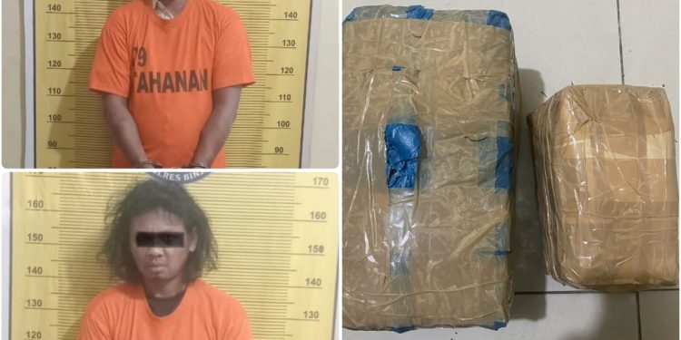 Kasus Ganja, 2 Pria Ini Ditangkap Polisi