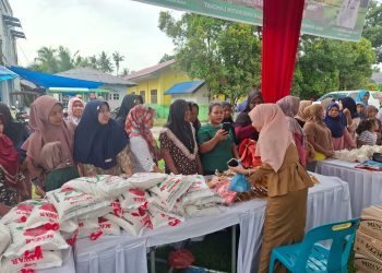 Pj. Bupati Langkat Tegaskan Komitmen Stabilitas Harga melalui Pasar Murah di Tiga Kecamatan