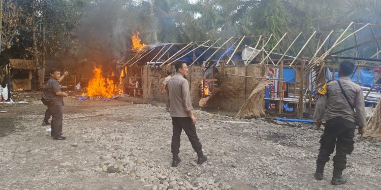 Barak Narkoba Kloneng Habis Diratakan Tim Gabungan