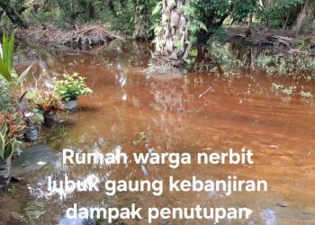 Sungai Nerbit Kecil Ditimbun OSM, Dinas LH Dumai Bersama Warga Tinjau Lokasi