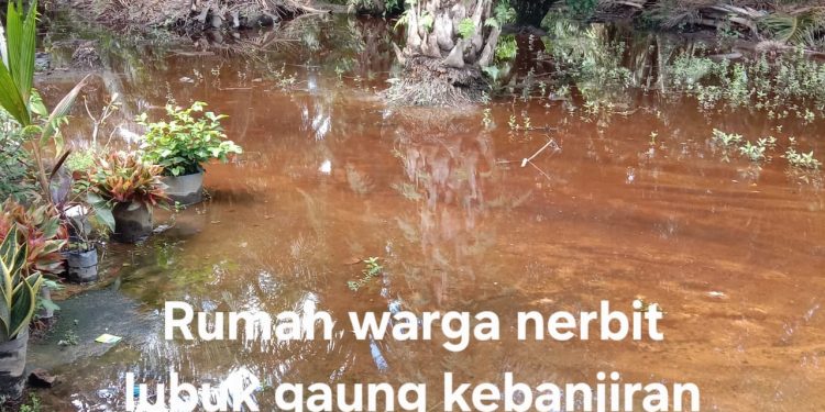 Sungai Nerbit Kecil Ditimbun OSM, Dinas LH Dumai Bersama Warga Tinjau Lokasi