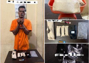 Pengedar Ganja Pangkalan Susu Ditangkap Polisi