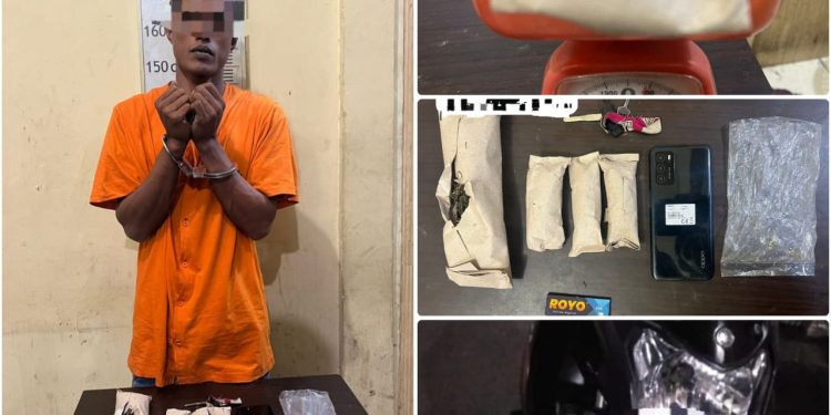 Pengedar Ganja Pangkalan Susu Ditangkap Polisi