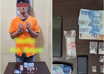 Lagi-lagi, Pengedar Sabu Diciduk Polisi