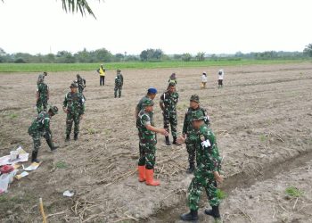Program Ketahanan Pangan, Denpom 1/5 Gelar Penanaman Bibit Jagung di Binjai Timur