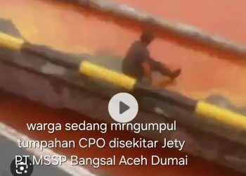 Pengawasan KSOP Dumai Lemah CPO Tumpah di Area Jety MSSP Cemari Pesisir Pantai Selat Rupat Laut Dumai