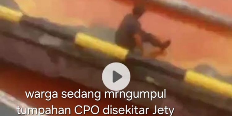 Pengawasan KSOP Dumai Lemah CPO Tumpah di Area Jety MSSP Cemari Pesisir Pantai Selat Rupat Laut Dumai