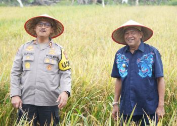 Syah Afandin Ikuti Panen Raya Serentak, Wujudkan Program Swasembada Pangan Presiden Prabowo