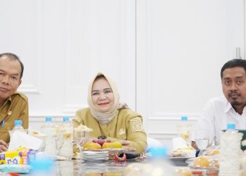 Bupati Langkat Ikuti Entry Meeting Pemeriksaan Keuangan: Komitmen Wujudkan Tata Kelola yang Akuntabel