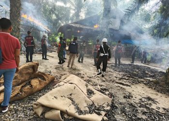 Denpom I/5 Medan dan Polrestabes Razia Arena Sabung Ayam di Pancur Batu, Gubuk Judi Dibongkar dan Dibakar