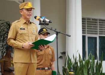 Bupati Langkat Tekankan Peran Strategis Posyandu dalam Pembangunan Kesehatan Masyarakat