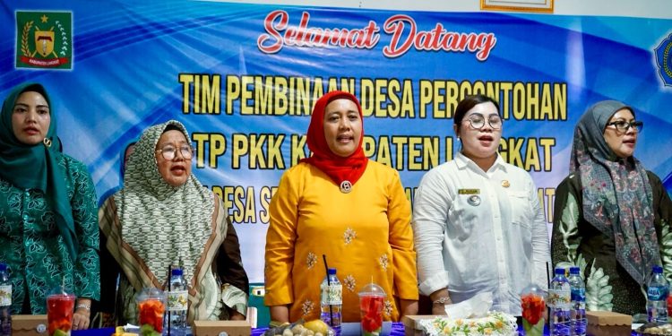 Ketua TP PKK Langkat Dorong Desa Serapit Jadi Percontohan AKU HATINYA PKK