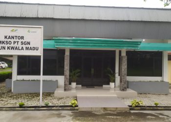 Didemo Soal Tebu Stunting dan Larang Pencari Rumput, Begini Penjelasan Manager Kebun Kwala Madu