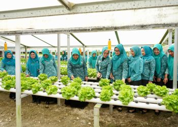 Ketua TP PKK Kota Binjai Hadiri Pembinaan Lanjutan Lomba Tertib Administrasi PKK di Binjai Selatan