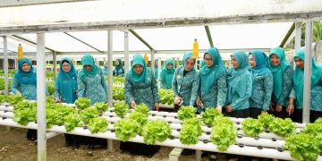 Ketua TP PKK Kota Binjai Hadiri Pembinaan Lanjutan Lomba Tertib Administrasi PKK di Binjai Selatan