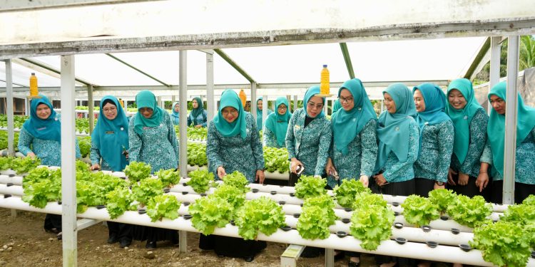 Ketua TP PKK Kota Binjai Hadiri Pembinaan Lanjutan Lomba Tertib Administrasi PKK di Binjai Selatan