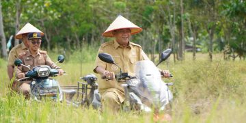 Bupati Syah Afandin Dorong Kemandirian Benih Padi di Langkat, Panen Inpari 33 Sukses