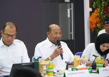 Bupati Langkat Tampilkan Inovasi TPAKD di Forum Nasional OJK