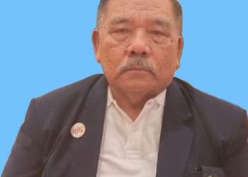 P3KD Riau Desak Presiden RI Terbitkan Perpres Penertiban Truk ODOL