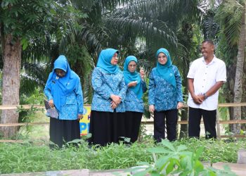 TP PKK Kota Binjai Serahkan Bantuan Lingkungan di Hari Lingkungan Hidup Sedunia 2025