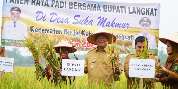 Bupati Langkat Resmikan Kilang Padi Sukma Jaya dan Dukung Ketahanan Pangan Desa Suka Makmur