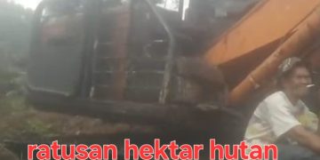 Ratusan Hektar Hutan Tanaman KOP.IKRAM Diluluh Lantakkan Anggota Koperasi Protes