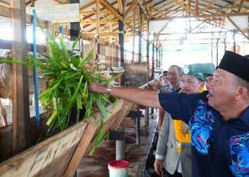 Syah Afandin Targetkan Balai Ternak Baznas Hingga ke Kecamatan untuk Bangkitkan Ekonomi Masyarakat