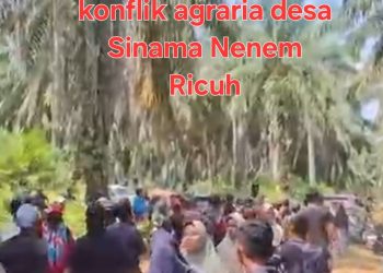 Beredar Vidio Konflik Agraria Desa Sinama Nenek Lapor, Pak Presiden Prabowo Mohon Tindak Tegas Mafia yang Sengsarakan Masyarakat