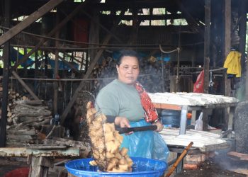 Tim Penilai Inovasi Daerah Sumut Tinjau Langsung Koperasi Merah Putih di Binjai Barat