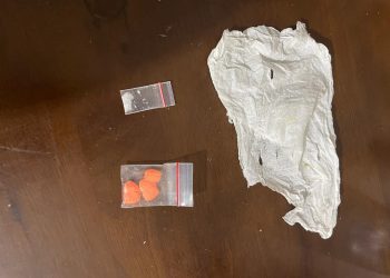 Polsek Bahorok Ungkap Kasus Narkotika Jenis Sabu dan Ekstasi di Desa Perkebunan Bukit Lawang