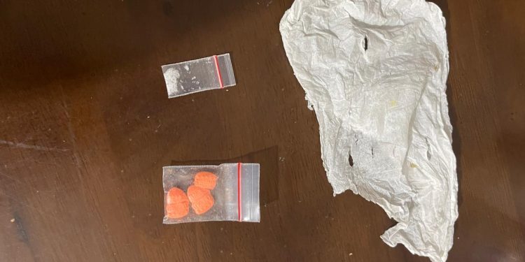 Polsek Bahorok Ungkap Kasus Narkotika Jenis Sabu dan Ekstasi di Desa Perkebunan Bukit Lawang